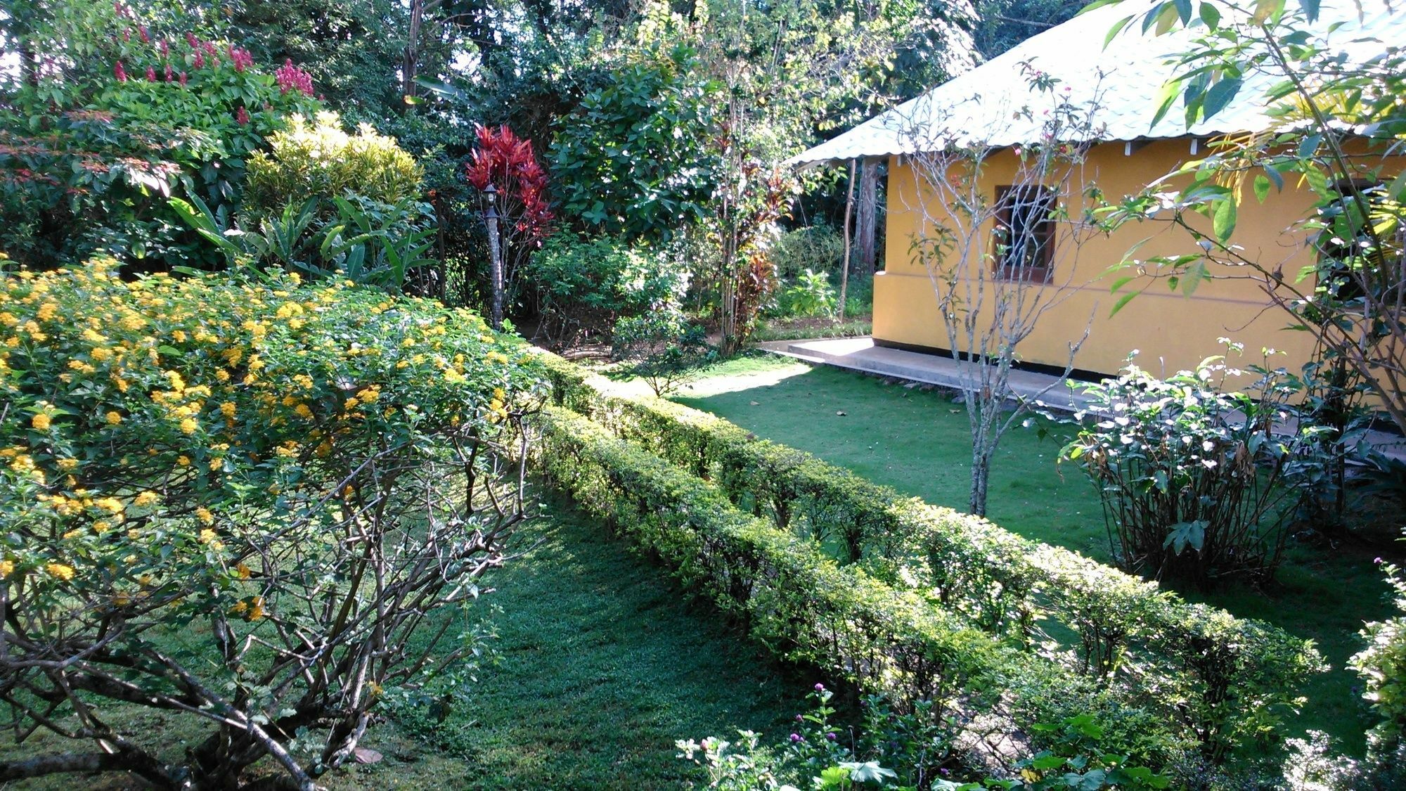 Sunnyside Holiday Bungalow Ella Εξωτερικό φωτογραφία