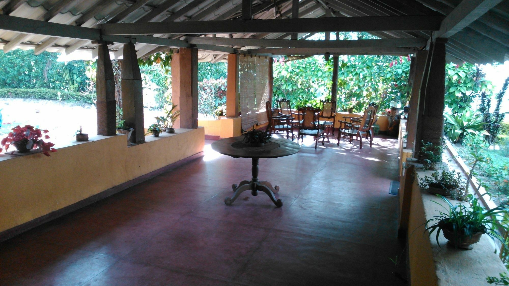 Sunnyside Holiday Bungalow Ella Εξωτερικό φωτογραφία