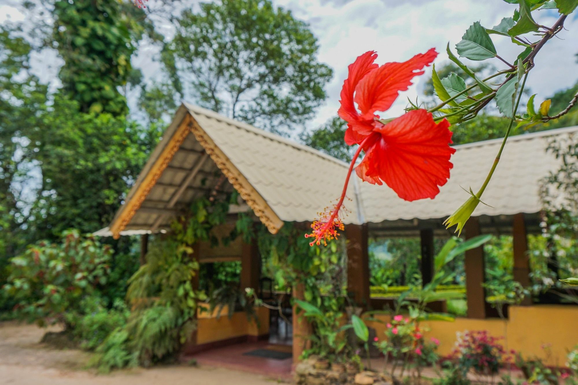 Sunnyside Holiday Bungalow Ella Εξωτερικό φωτογραφία